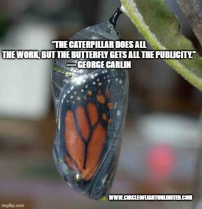 Image of butterfly in transparent chrysalis with the quote "The caterpillar does all the work, but the butterfly gets all the publicity." - George Carlin